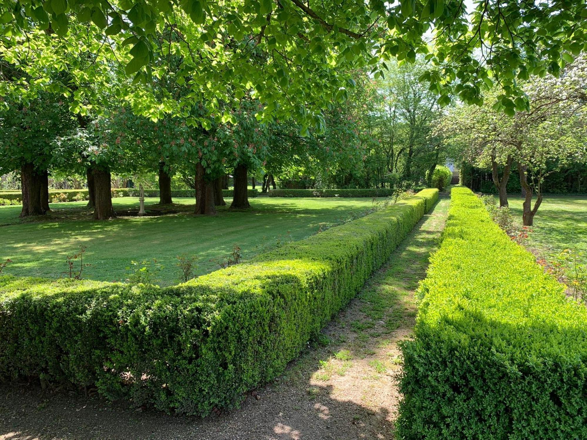 Landhaus Saaleck ナウムブルク エクステリア 写真