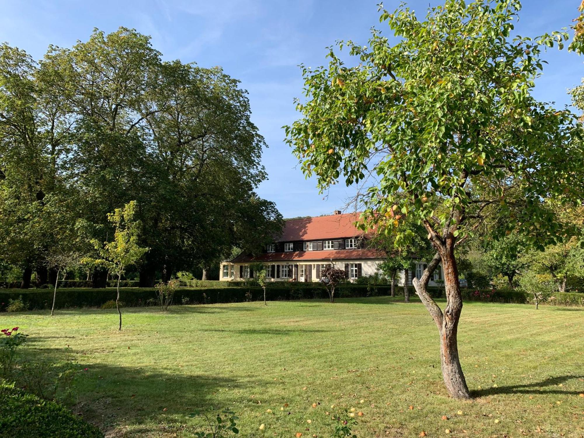 Landhaus Saaleck ナウムブルク エクステリア 写真