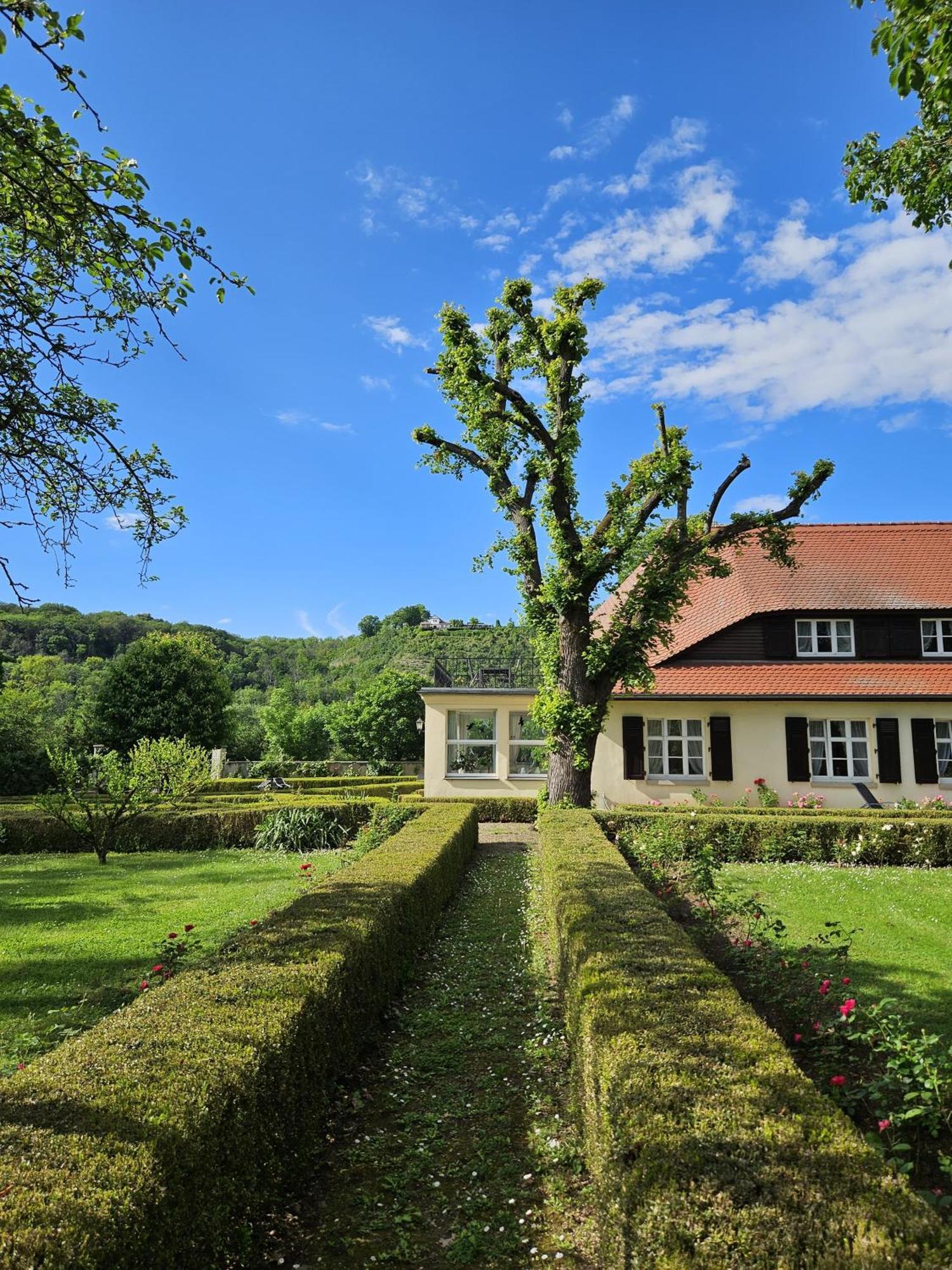 Landhaus Saaleck ナウムブルク エクステリア 写真